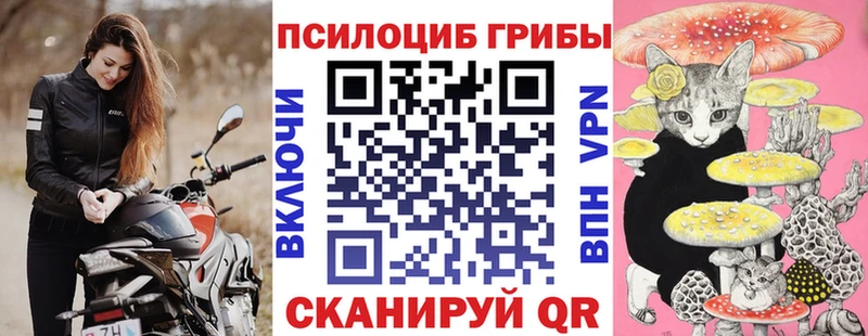 где продают наркотики Чадан hydra tor Псилоцибиновые грибы мухоморы