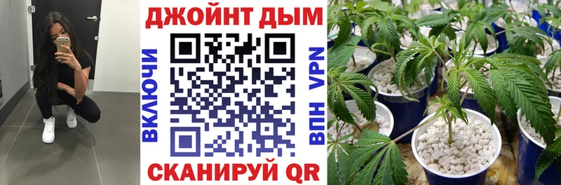ссылка на мегу ссылка  Чадан  Бошки Шишки VHQ 